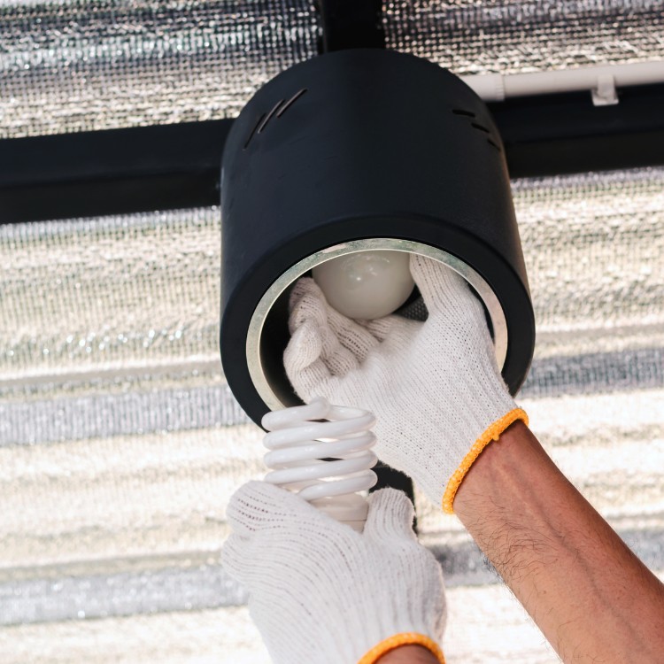 Electric services in Rio Rancho, NM
